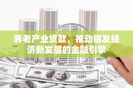 紫阳养老产业贷款，推动银发经济新发展的金融引擎