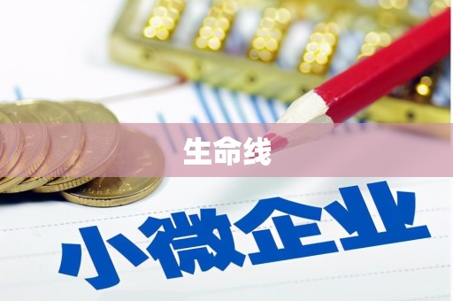 紫阳生命线