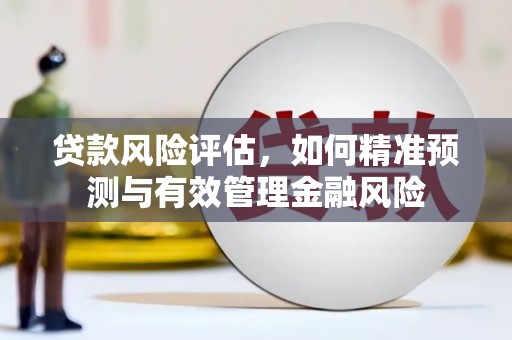 紫阳贷款风险评估，如何精准预测与有效管理金融风险