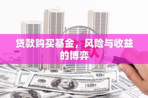 紫阳贷款购买基金，风险与收益的博弈