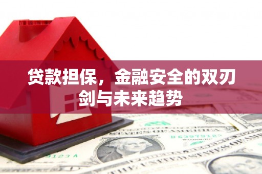 紫阳贷款担保，金融安全的双刃剑与未来趋势