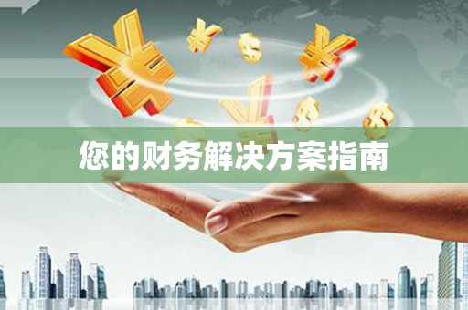 紫阳您的财务解决方案指南
