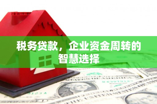 紫阳税务贷款，企业资金周转的智慧选择