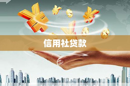 紫阳信用社贷款