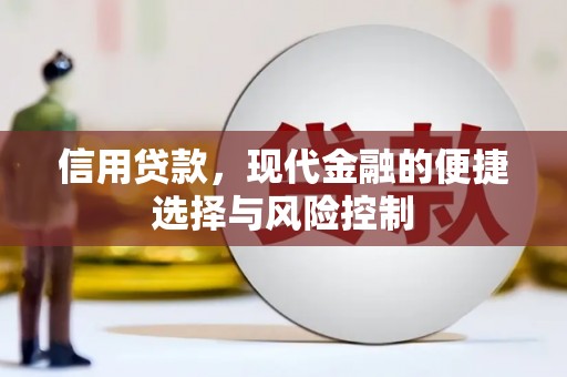 紫阳信用贷款，现代金融的便捷选择与风险控制