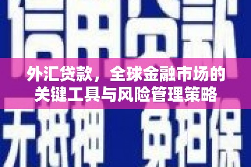 紫阳外汇贷款，全球金融市场的关键工具与风险管理策略