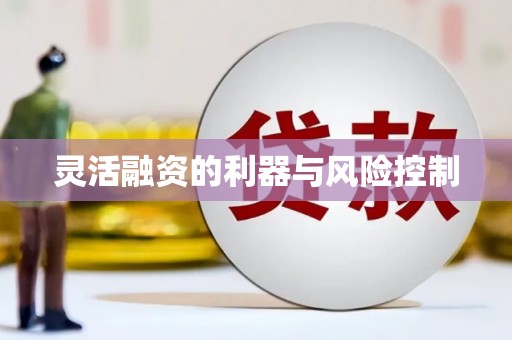 紫阳灵活融资的利器与风险控制
