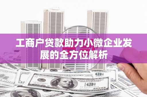 紫阳工商户贷款助力小微企业发展的全方位解析