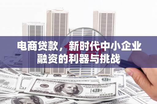 紫阳电商贷款，新时代中小企业融资的利器与挑战