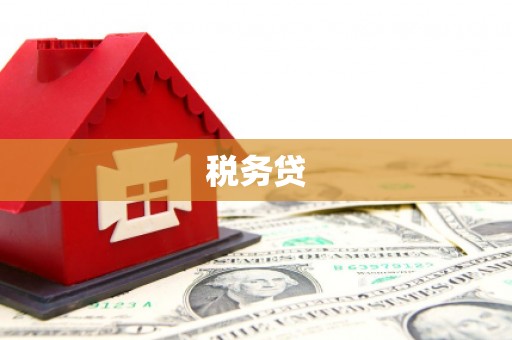 紫阳税务贷