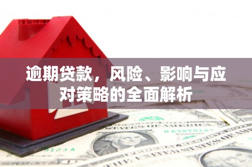 紫阳逾期贷款，风险、影响与应对策略的全面解析