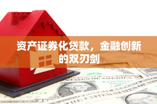 紫阳资产证券化贷款，金融创新的双刃剑