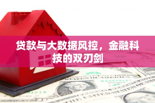 紫阳贷款与大数据风控，金融科技的双刃剑