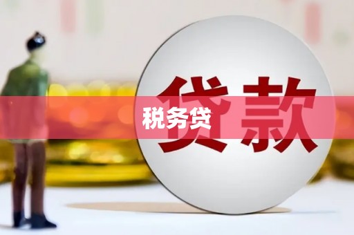 紫阳税务贷