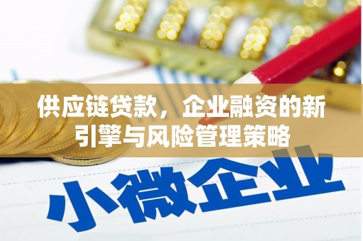 紫阳供应链贷款，企业融资的新引擎与风险管理策略