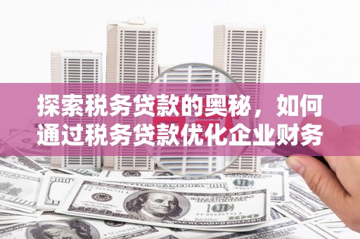 紫阳探索税务贷款的奥秘，如何通过税务贷款优化企业财务