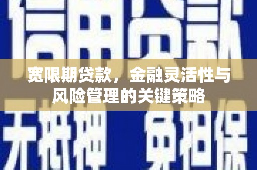 紫阳宽限期贷款，金融灵活性与风险管理的关键策略