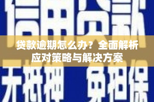 紫阳贷款逾期怎么办？全面解析应对策略与解决方案