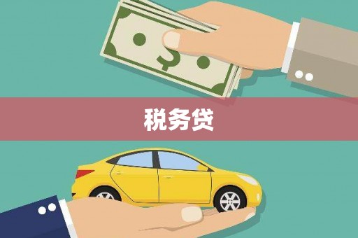 紫阳税务贷