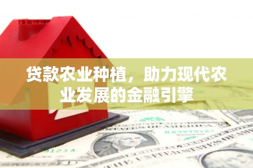 紫阳贷款农业种植，助力现代农业发展的金融引擎