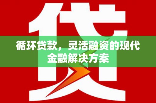 紫阳循环贷款，灵活融资的现代金融解决方案