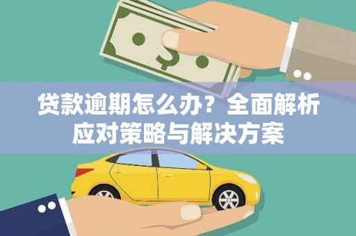紫阳贷款逾期怎么办？全面解析应对策略与解决方案