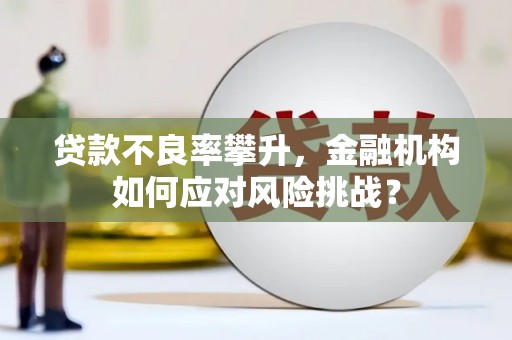 紫阳贷款不良率攀升，金融机构如何应对风险挑战？