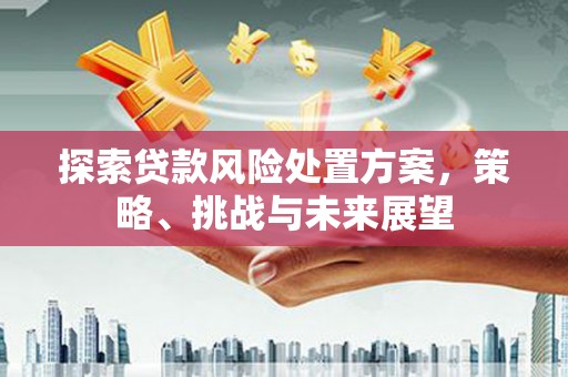 紫阳探索贷款风险处置方案，策略、挑战与未来展望