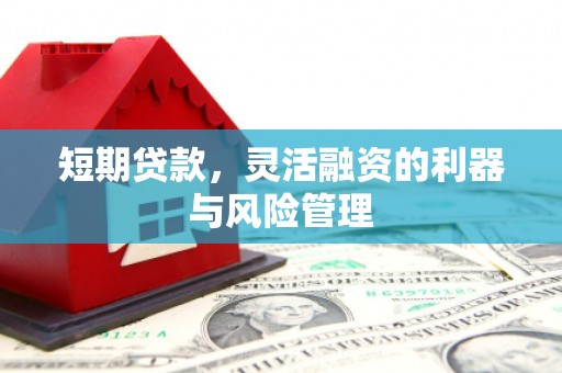 紫阳短期贷款，灵活融资的利器与风险管理