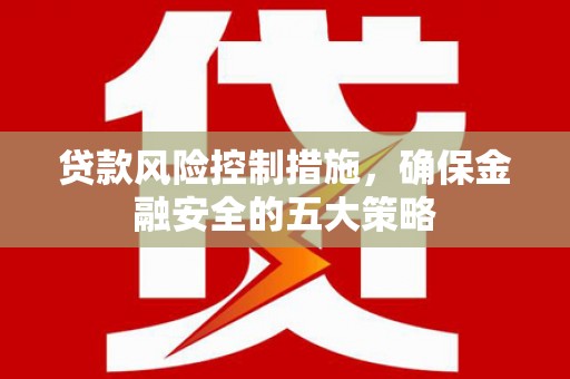 紫阳贷款风险控制措施，确保金融安全的五大策略