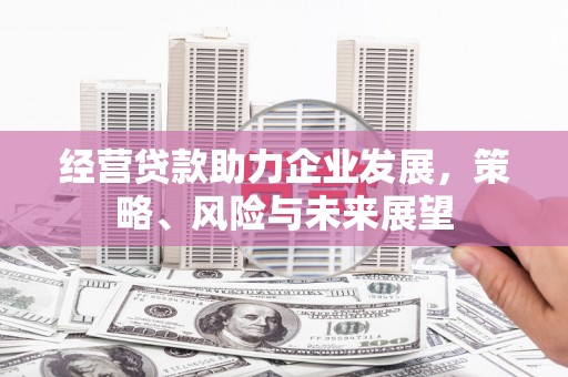 紫阳经营贷款助力企业发展，策略、风险与未来展望