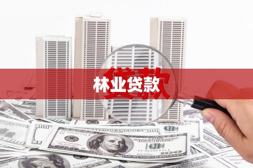 紫阳林业贷款