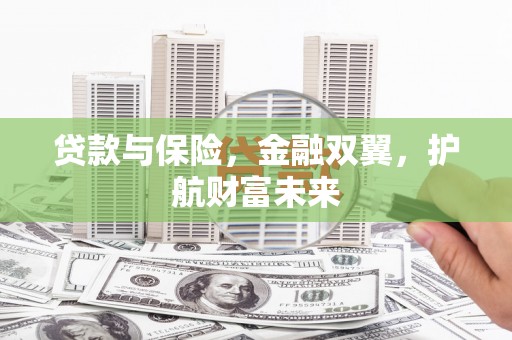 紫阳贷款与保险，金融双翼，护航财富未来