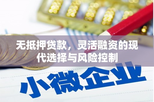 紫阳无抵押贷款，灵活融资的现代选择与风险控制