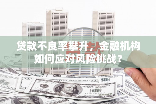 紫阳贷款不良率攀升，金融机构如何应对风险挑战？