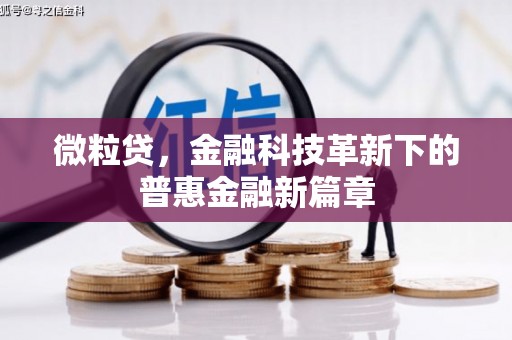 紫阳微粒贷，金融科技革新下的普惠金融新篇章