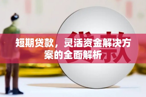 紫阳短期贷款，灵活资金解决方案的全面解析