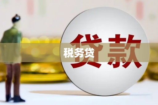 紫阳税务贷