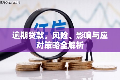 紫阳逾期贷款，风险、影响与应对策略全解析