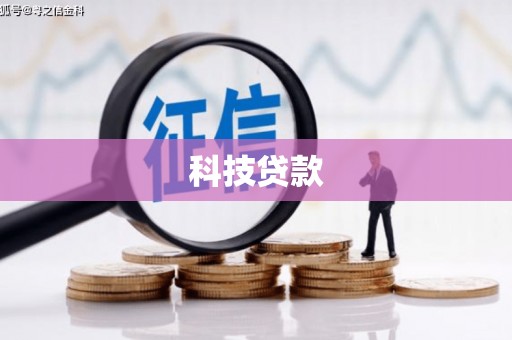 紫阳科技贷款