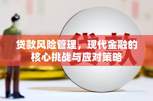 紫阳贷款风险管理，现代金融的核心挑战与应对策略