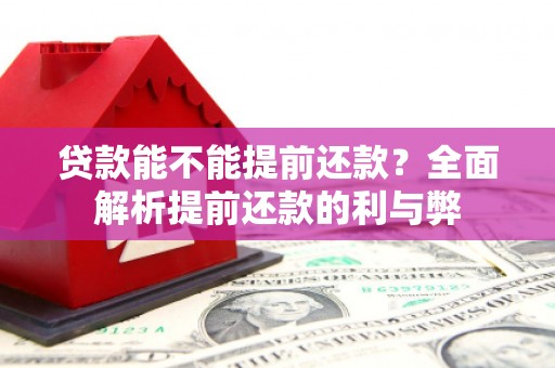 紫阳贷款能不能提前还款？全面解析提前还款的利与弊