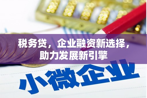 紫阳税务贷，企业融资新选择，助力发展新引擎
