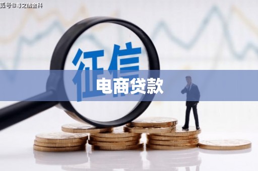 紫阳电商贷款