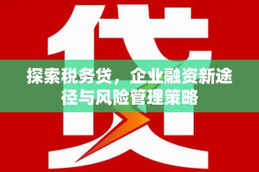 紫阳探索税务贷，企业融资新途径与风险管理策略