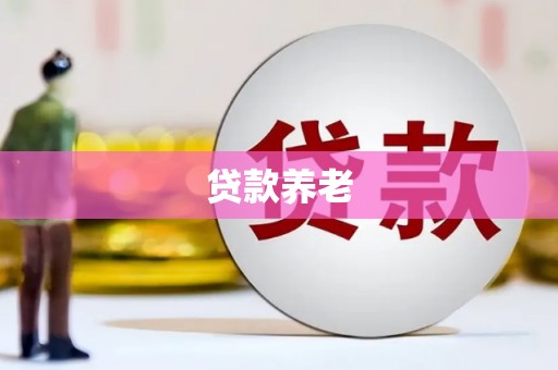 紫阳贷款养老