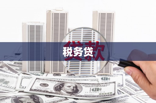 紫阳税务贷