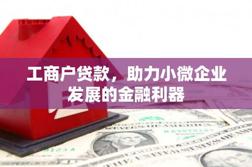 紫阳工商户贷款，助力小微企业发展的金融利器