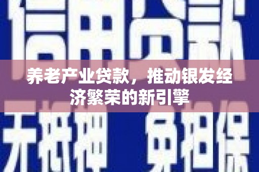 紫阳养老产业贷款，推动银发经济繁荣的新引擎