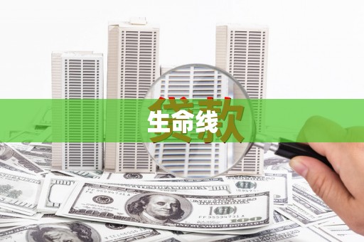 紫阳生命线